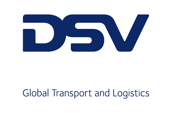 dsv logo